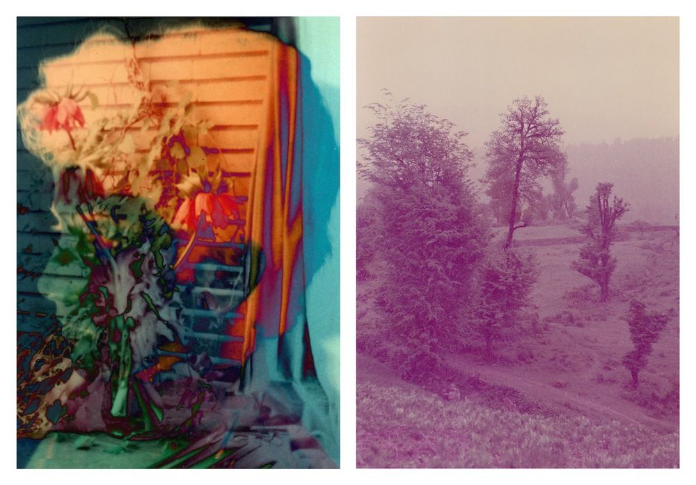 Gypsum Gallery launches with beautiful Setareh Shahbazi show