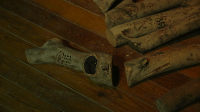Absorbing CIC show looks at blind spots in history