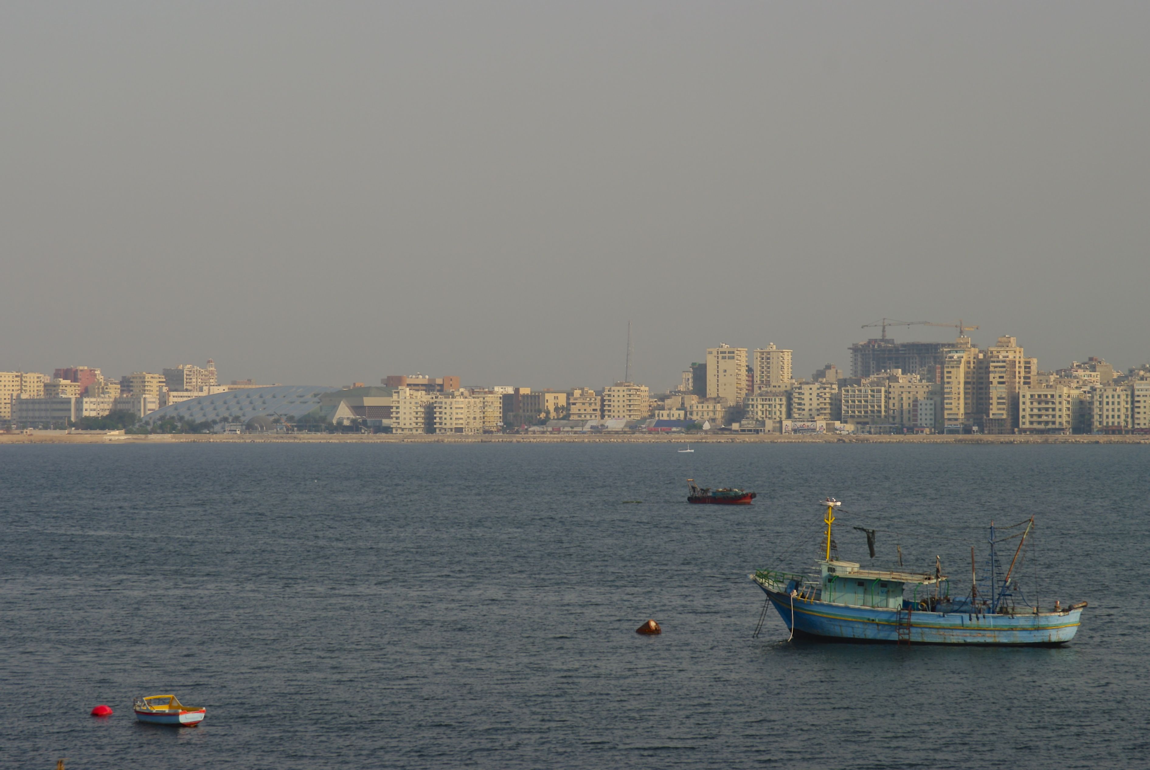 Alexandria protesters’ sentences upheld