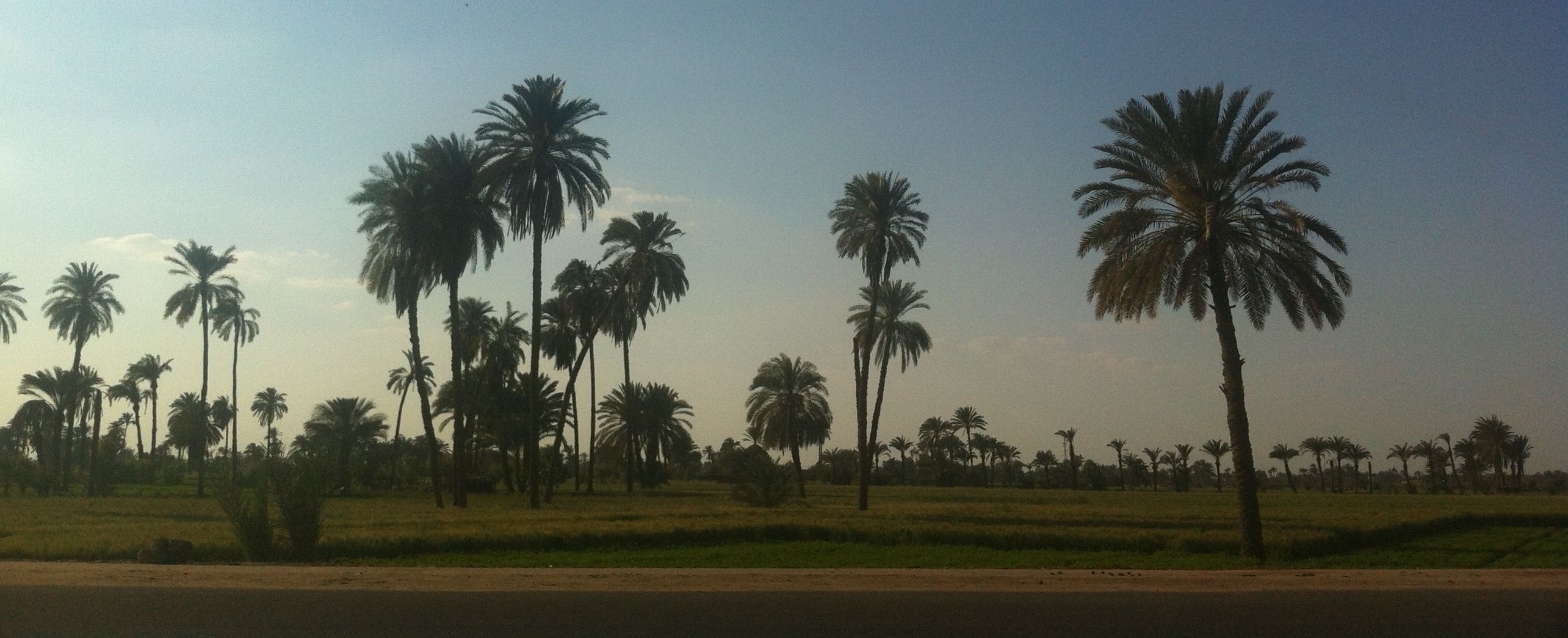 Court orders arrest of Minya governor