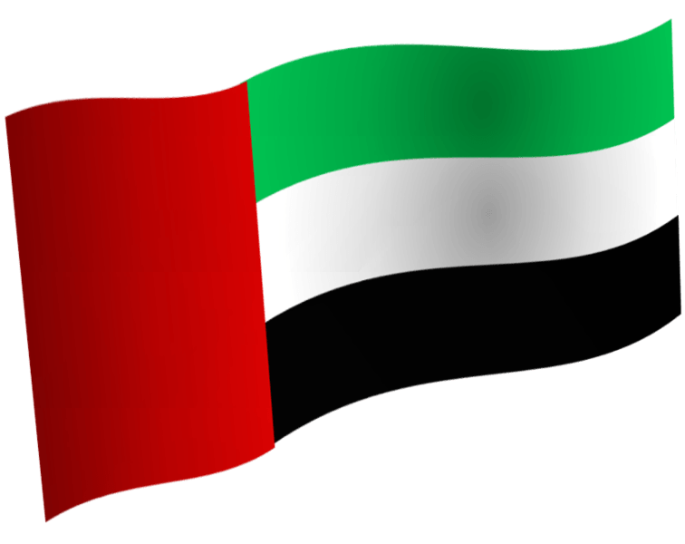 Egyptians to stand trial in UAE in December