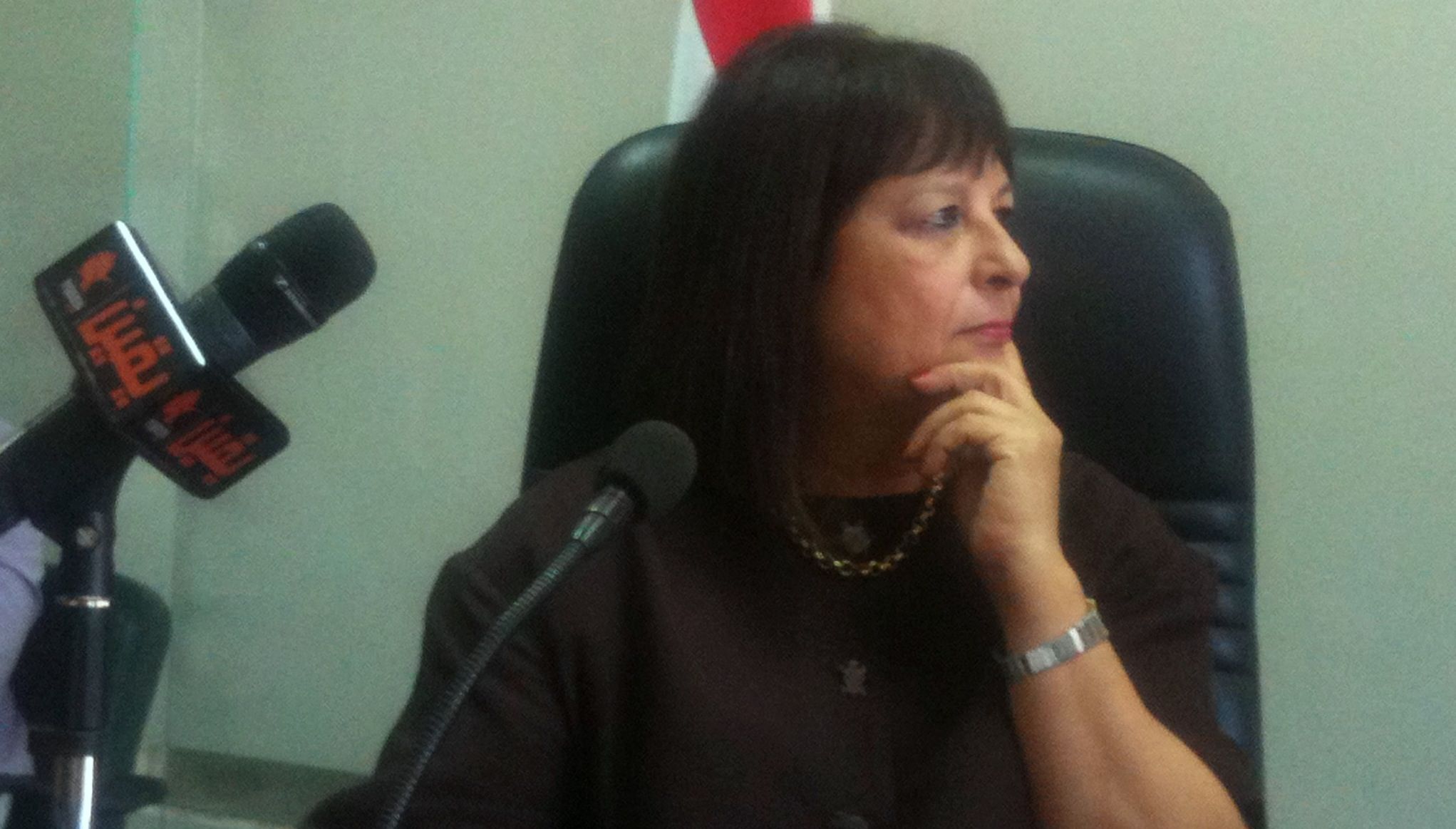 No black cloud so far over new Environment Minister Laila Iskandar