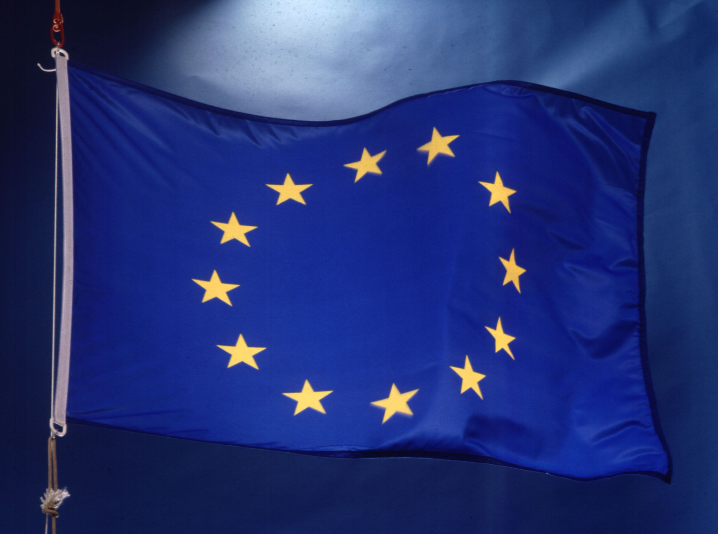 EU congratulates Sisi, reiterates concerns about rights