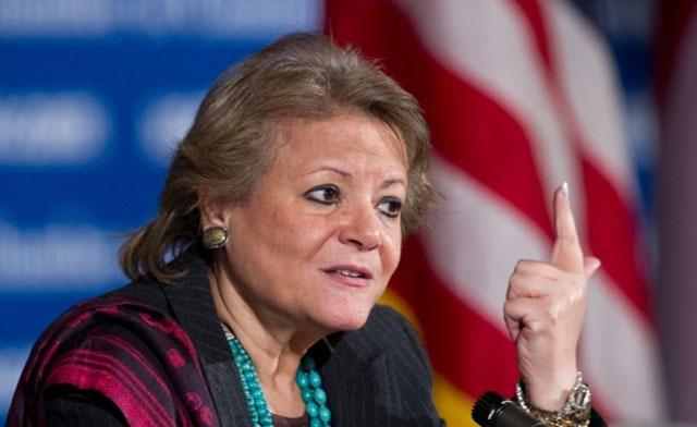 Mubarak-era minister, foreign funding crusader breaks into security sector