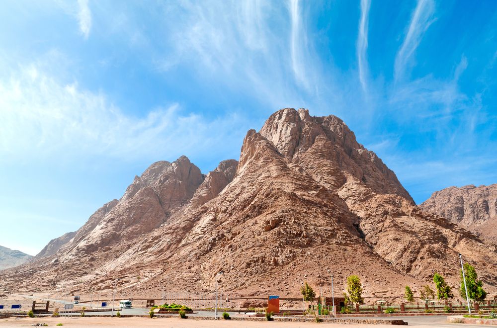 نخل «العريش» الحزين: مشاهد من الحياة تحت الحظر