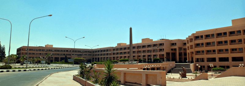 محكمة عسكرية تقضي بحبس 21 طالبًا 15 عامًا