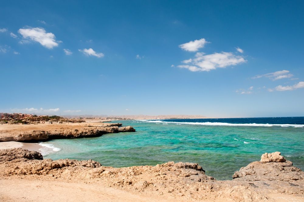 German tourist dies in shark attack in Red Sea