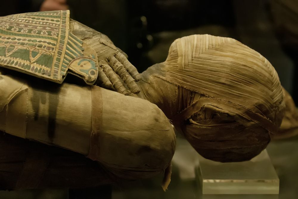 At over 4,200 years old, world’s oldest evidence of breast cancer is unearthed in Aswan