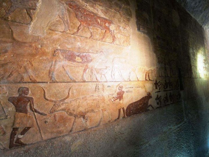 Newly renovated tombs near Giza Pyramids open to visitors