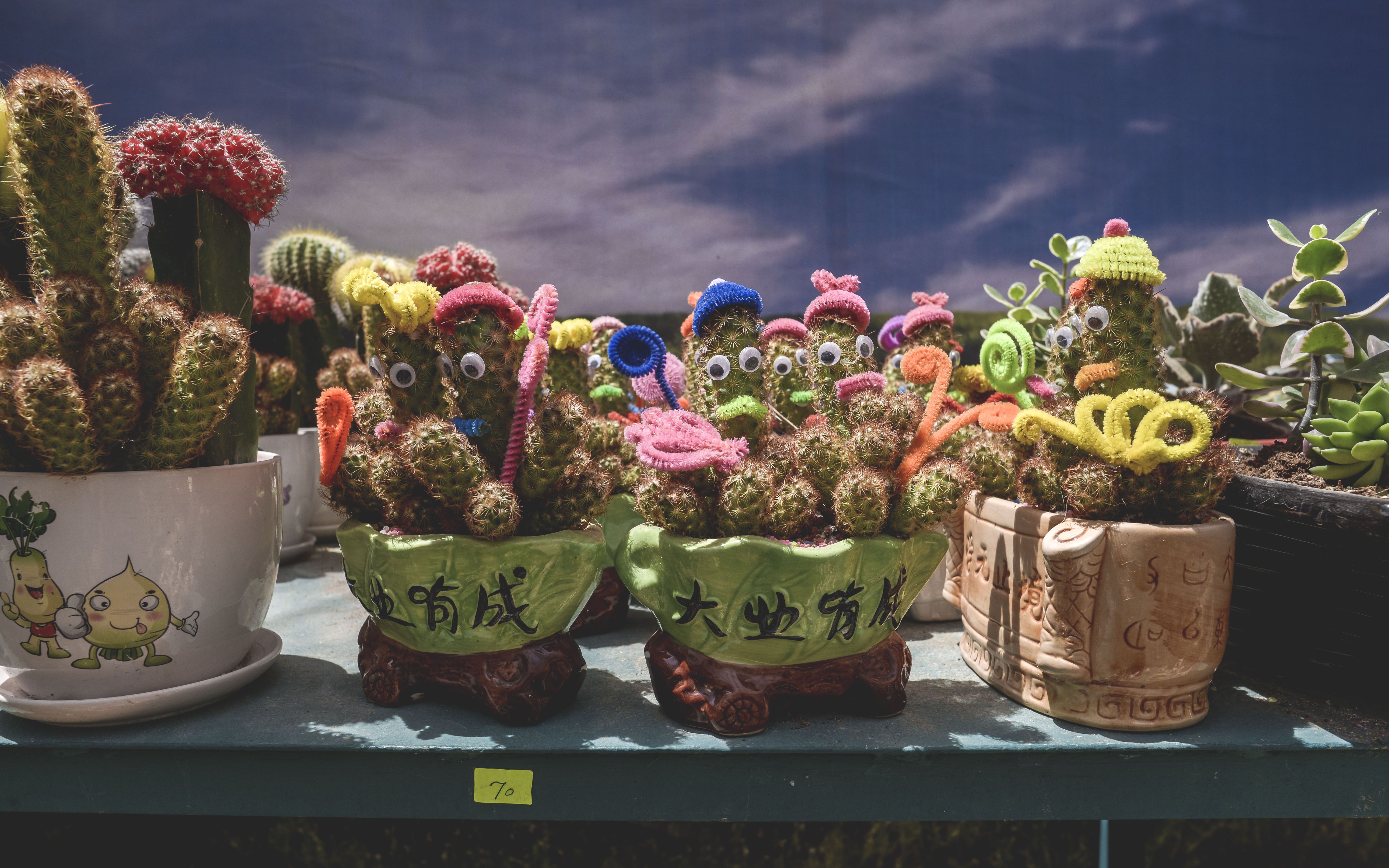 In photos: A visit to Cairo’s Flower Show