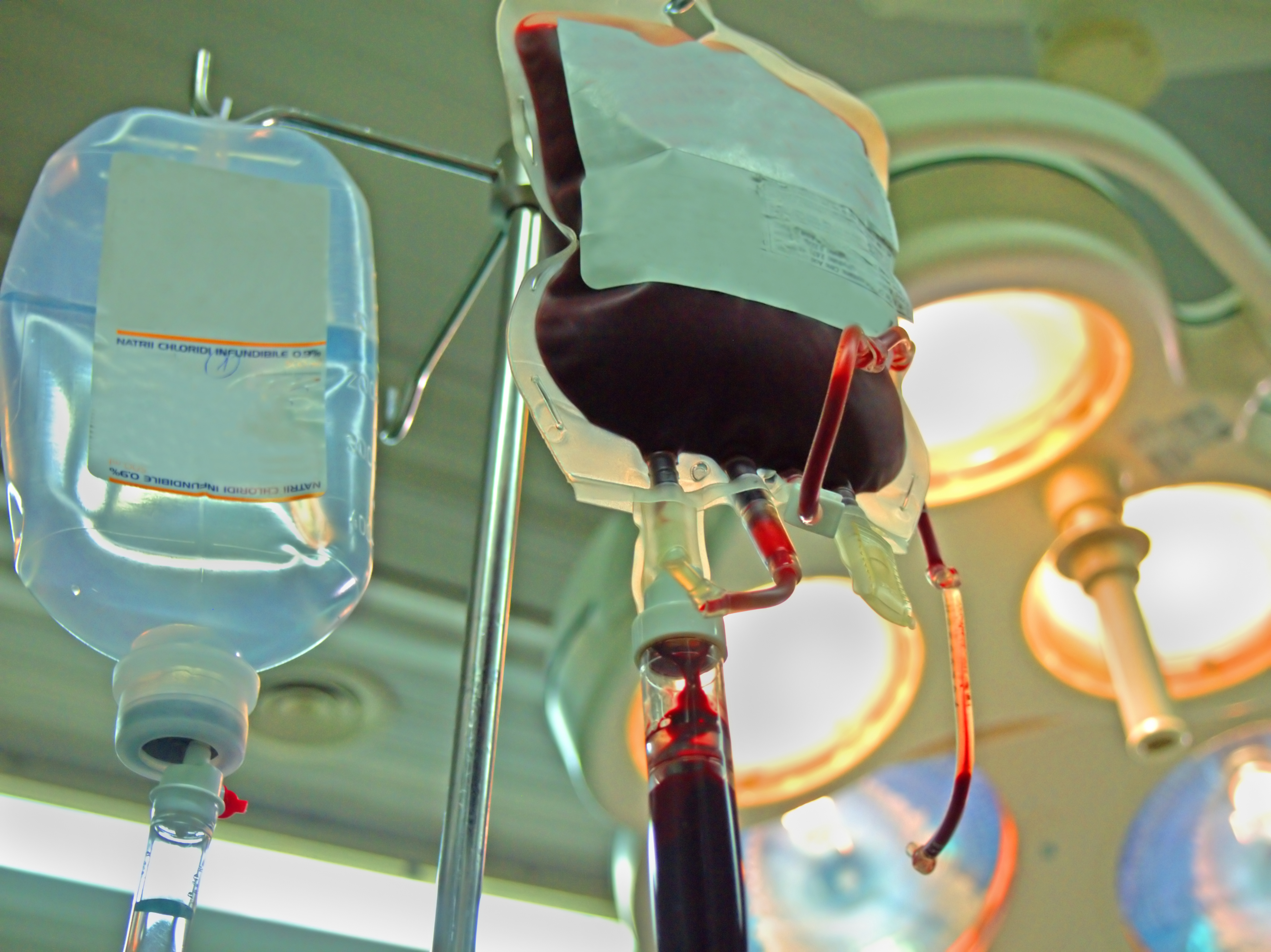 Struggling for a drop of blood