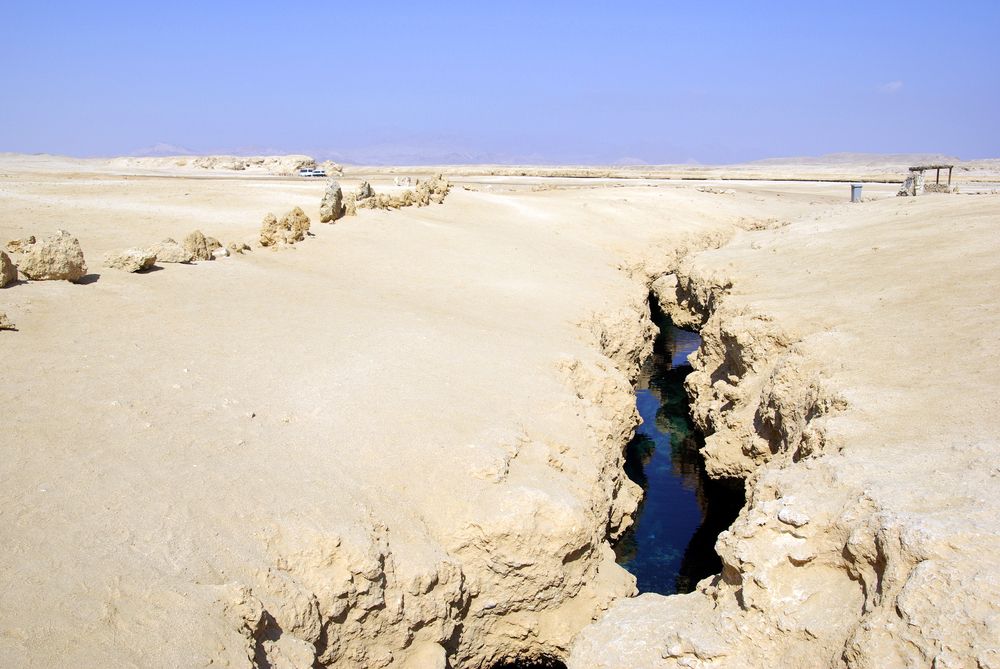 Egypt to form climate change council