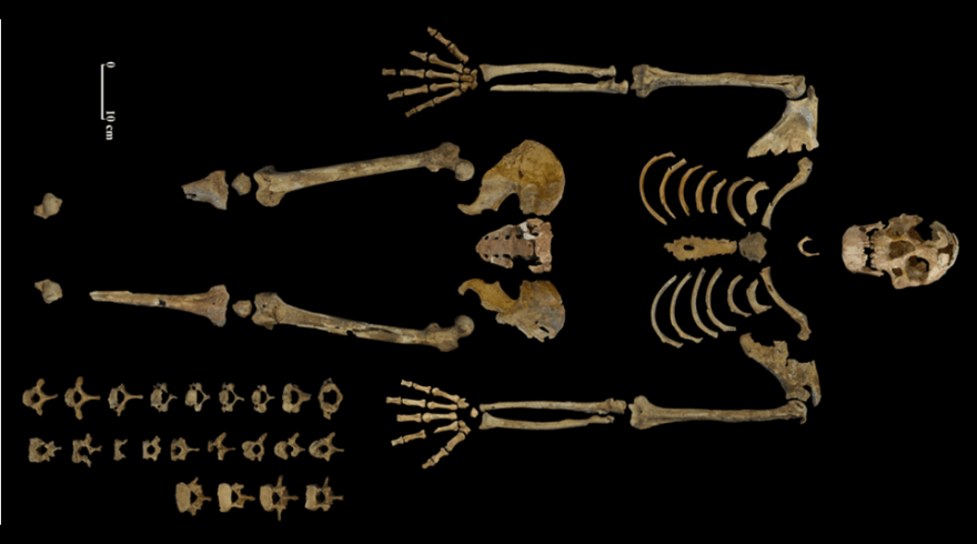 Belgium to return 35,000 year-old skeleton of ‘Nazlet Khater man’ to Egypt