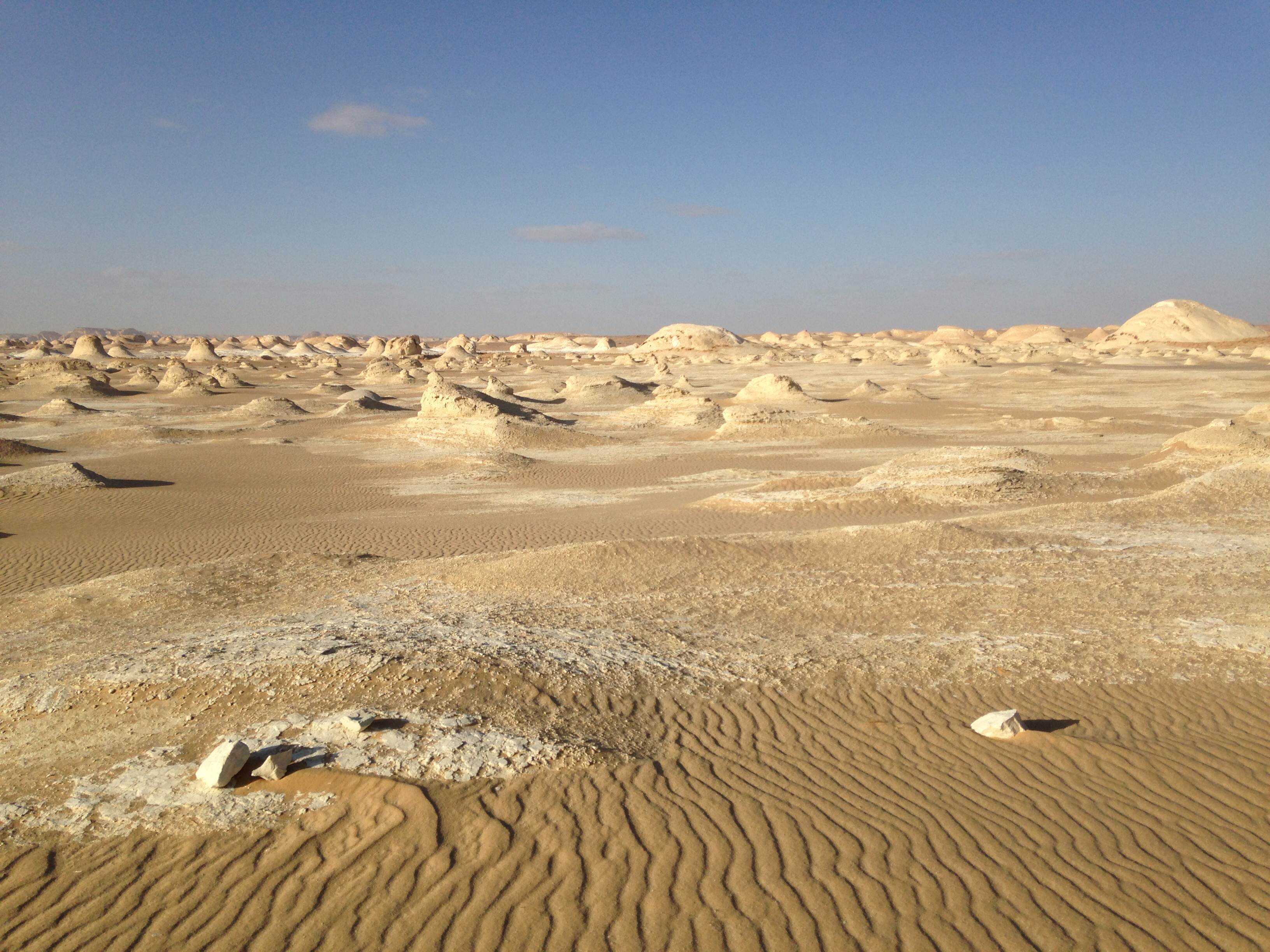 Agriculture Ministry begins studies for 750,000 feddan reclamation project