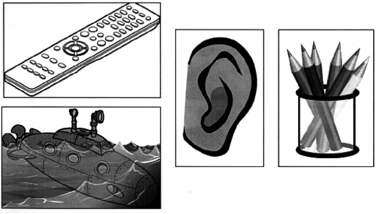 From the ship to the faucet: The power of election symbols
