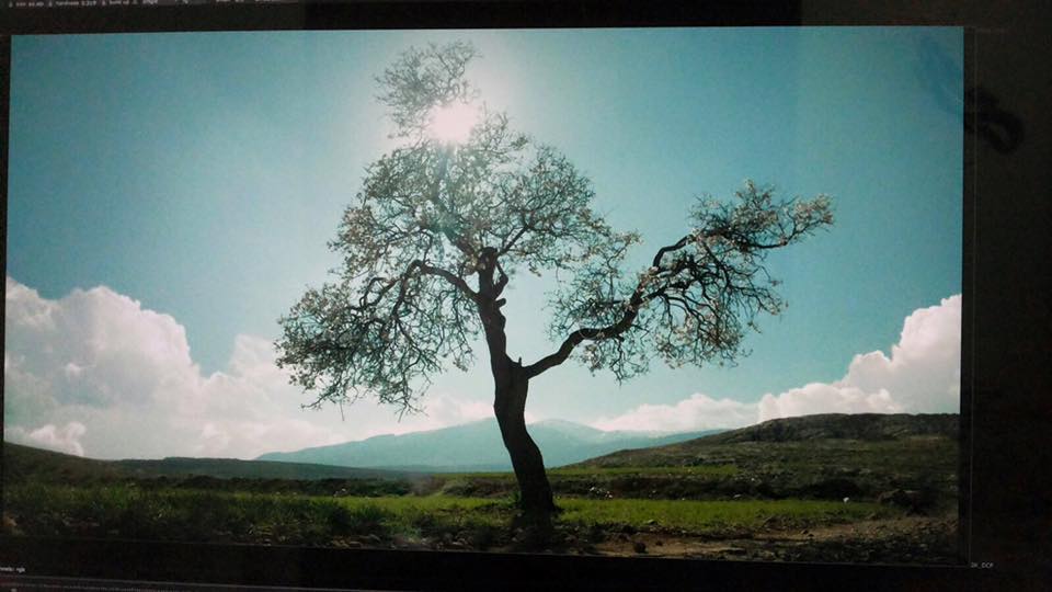 FestBeat: A powerfully moving Syrian film on day 7