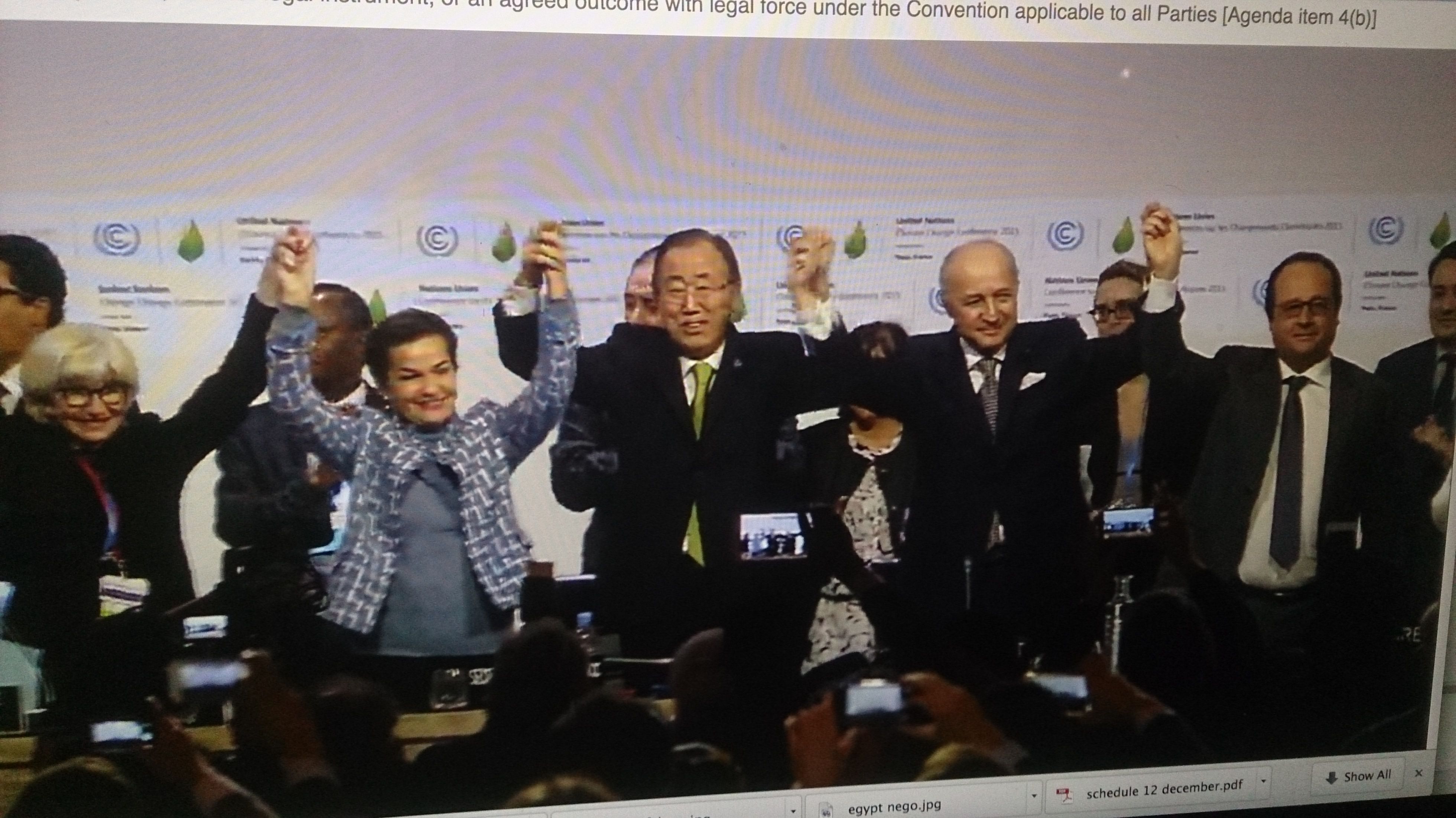 Paris climate agreement in line with Egypt, Arab world agendas