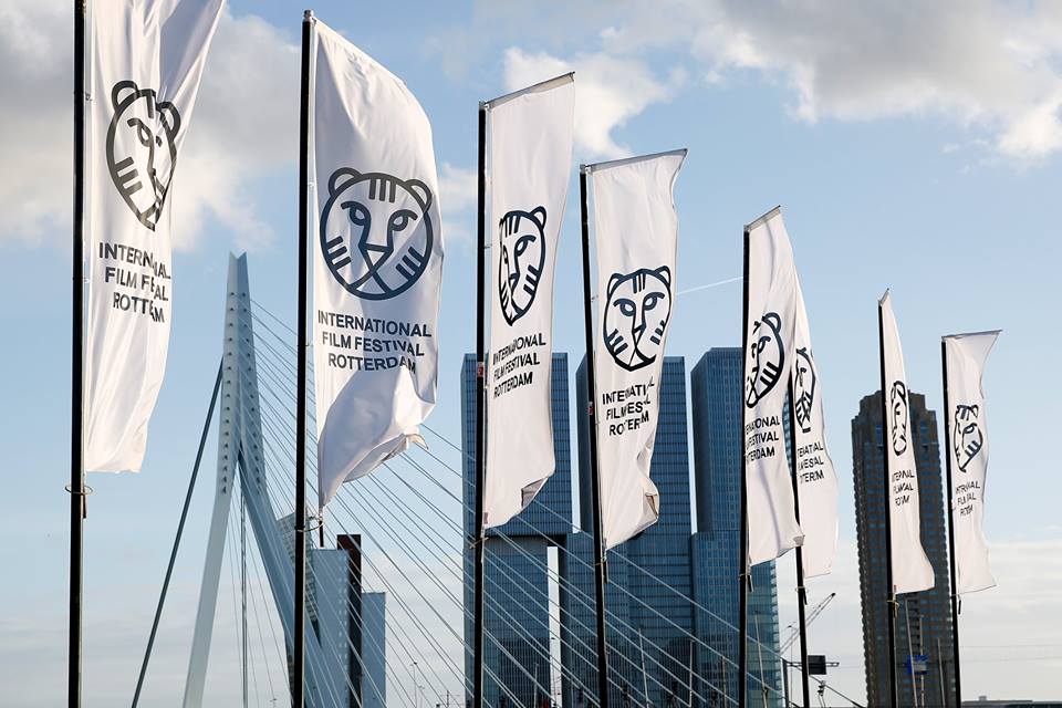 Overworked, overwhelmed at the International Film Festival Rotterdam