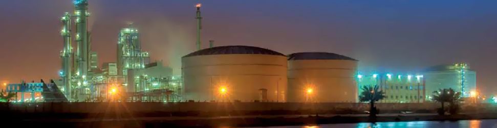 Sisi celebrates expansion of controversial petrochemical factory