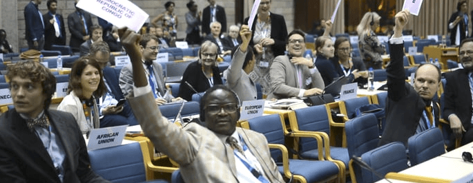 Egyptian diplomat reportedly calls Sub-Saharan African ministers ‘dogs and slaves’ at UN conference
