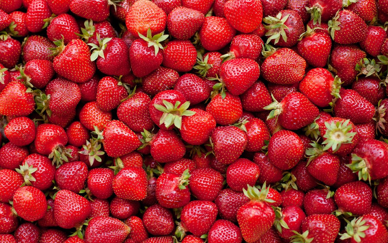 Battle of the strawberries