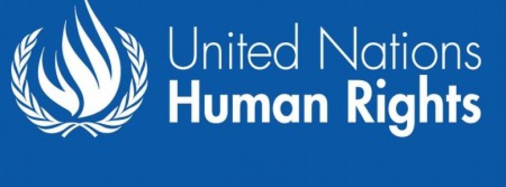 UN Special Rapporteur: Egyptian government’s systematic attacks aim to silence civil society