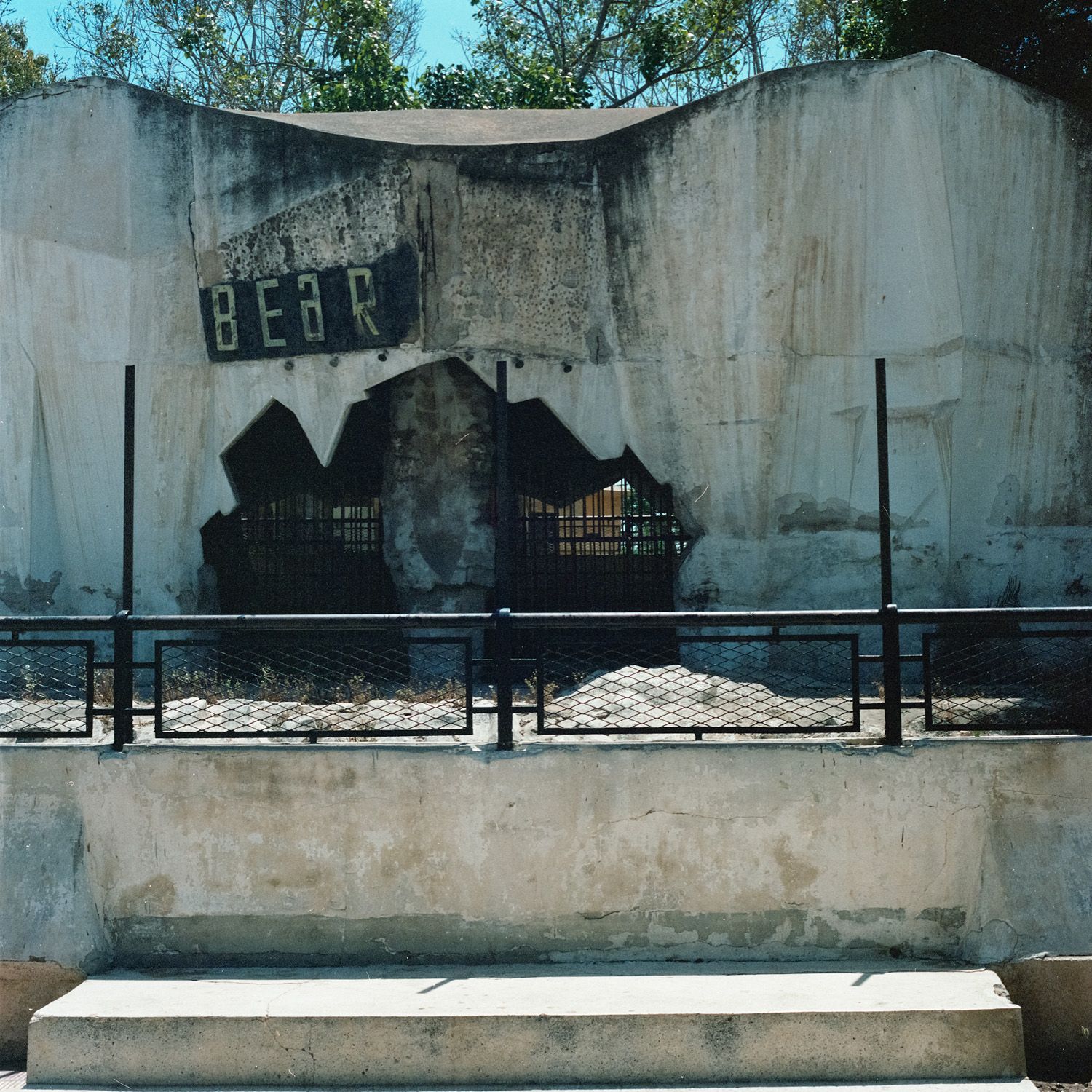 Giza Zoo sees theft of 5 falcons and death of a baby giraffe