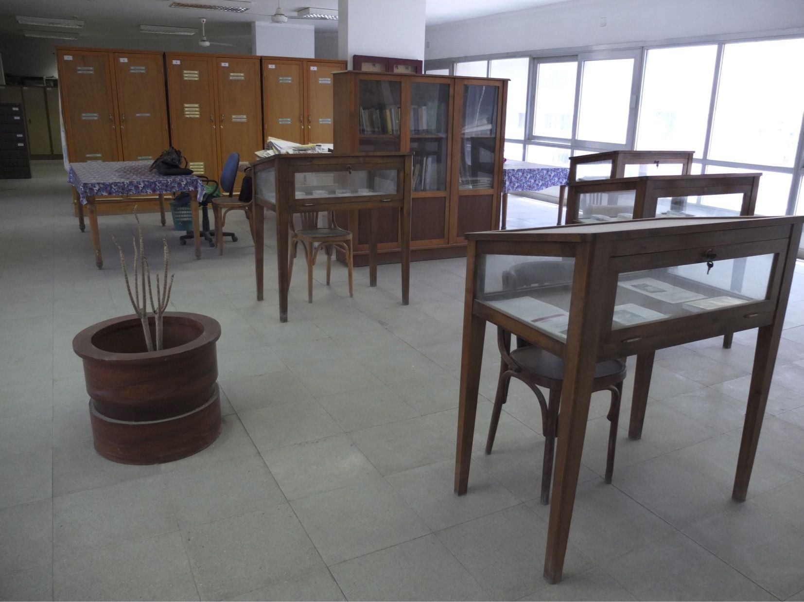 Teaching Egyptians to read ancient plants: Pioneering the field of archaeobotany in Egypt