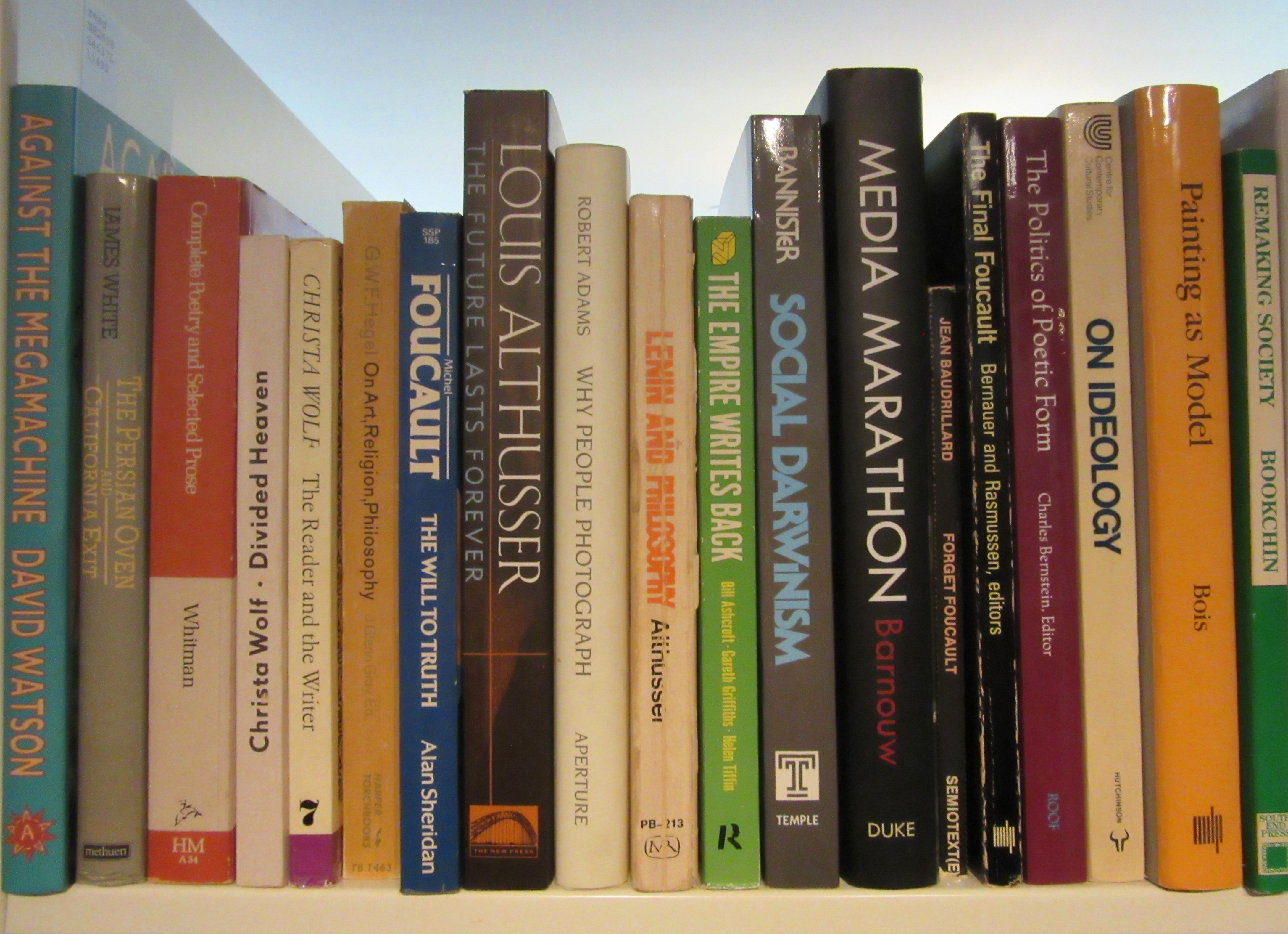 What happened to the social sciences in Egypt?