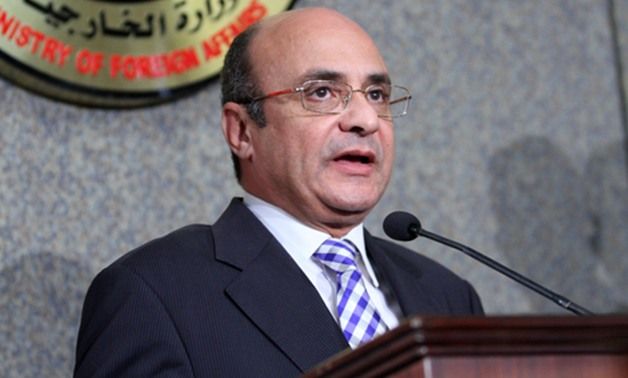 Minister to foreign reporters: No forced disappearances in Egypt and torture occurs only when prisoners try to escape