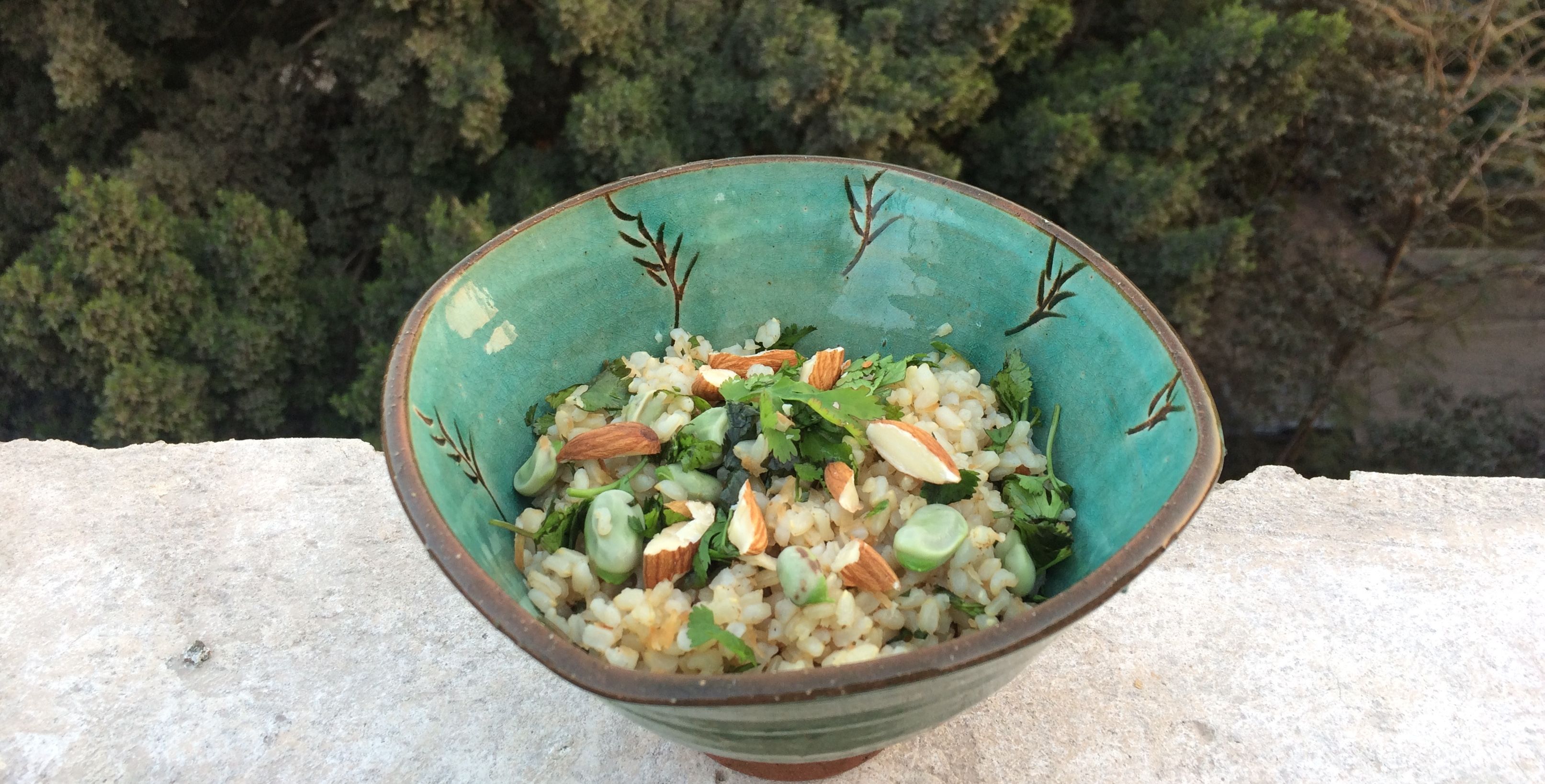 Green fava beans recipes – Mada seasonal vegetable series
