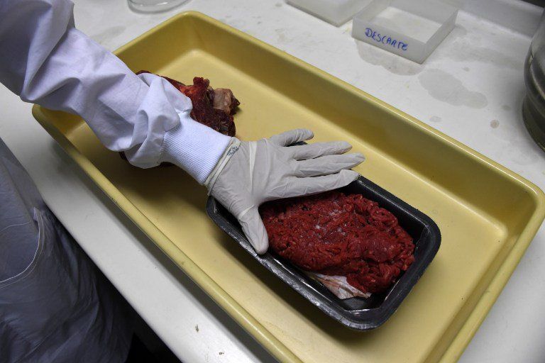 Egypt delays approval for Brazilian meat imports after spoiled meat scandal