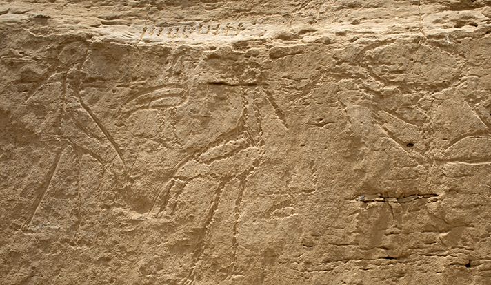 5,200-year-old rock inscriptions discovered in Luxor Governorate