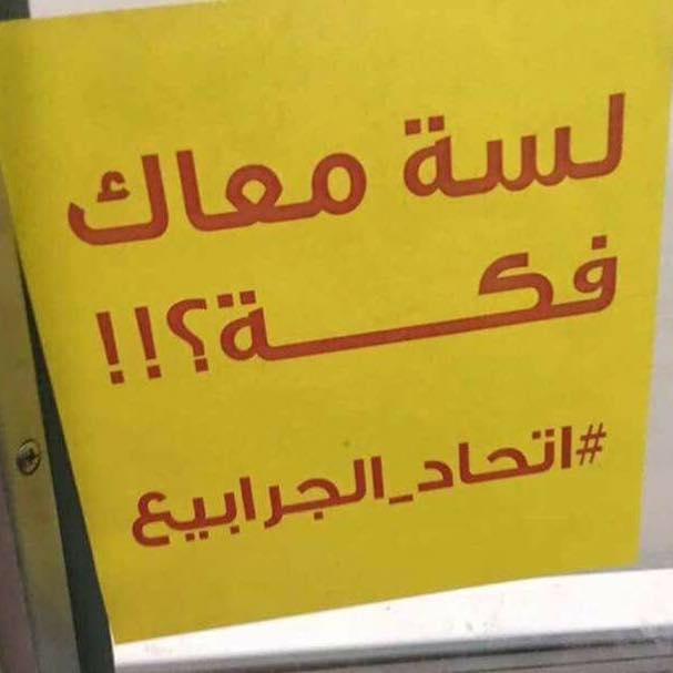 في قضية «معتقلي حديقة الأزهر».. «أمن الدولة طوارئ» تحبس 4 فتيات و5 شباب سنتين مع الشغل