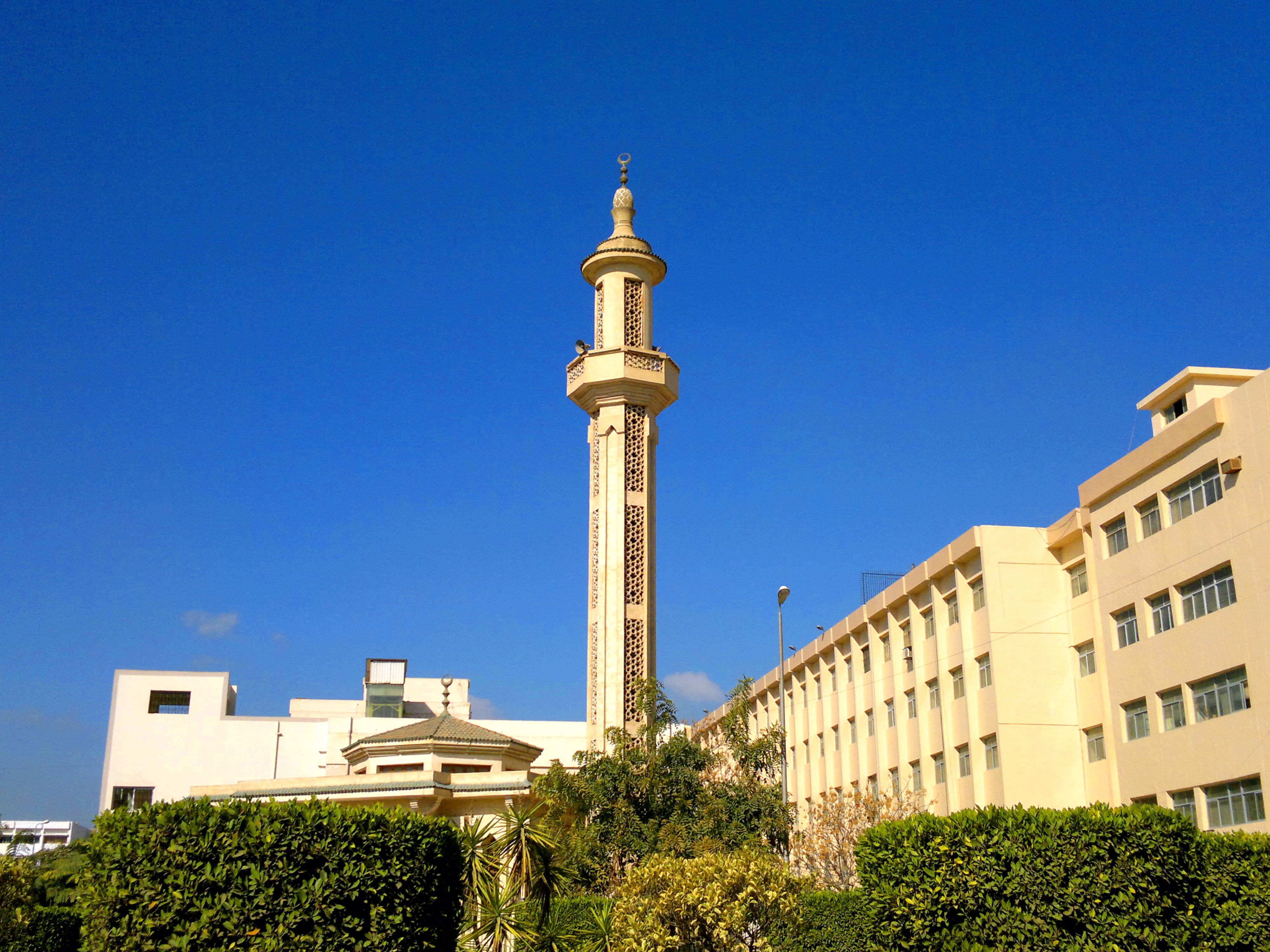 Zagazig University suspends professor, refers him to disciplinary committee for ‘insulting Islam’