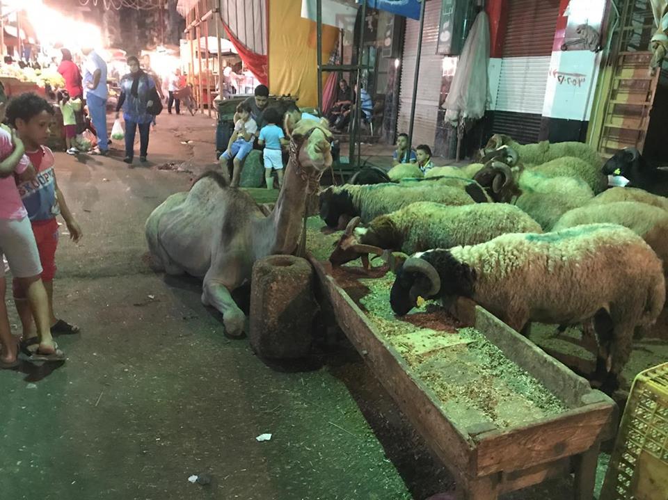 أيام العيد: العائلة راحتنا وتعاستنا