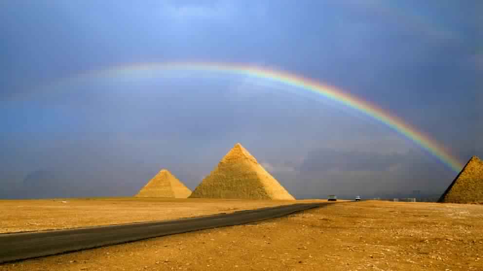 Moi aussi, j’accuse: An open letter to an Egyptian state intellectual