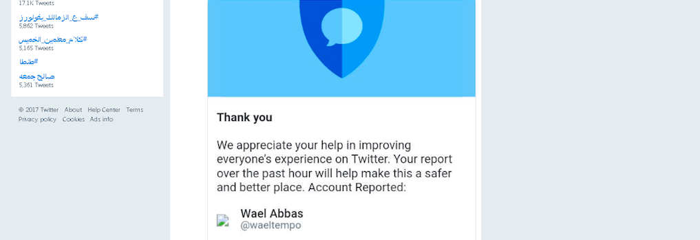 Twitter suspends more accounts of Egyptian activists