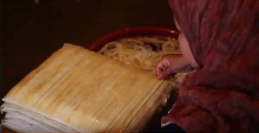 فيديو| الدنيا فابريكا: صناع البردي