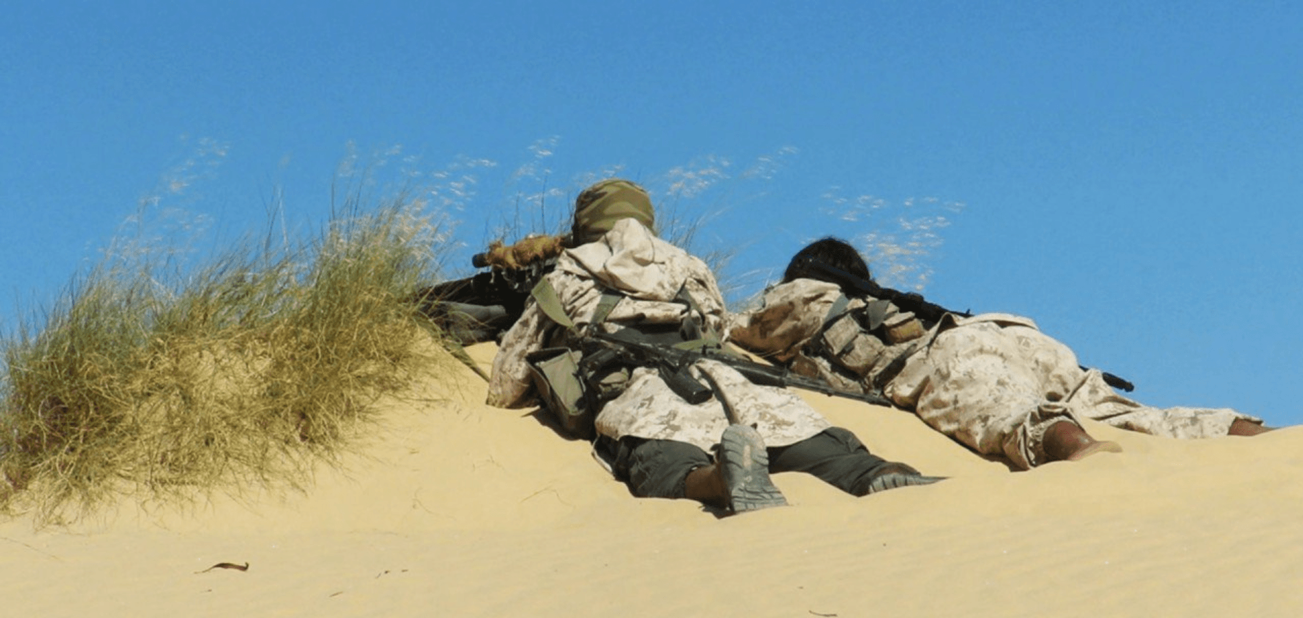 2 more Province of Sinai militants killed in December according to tribes union, sources