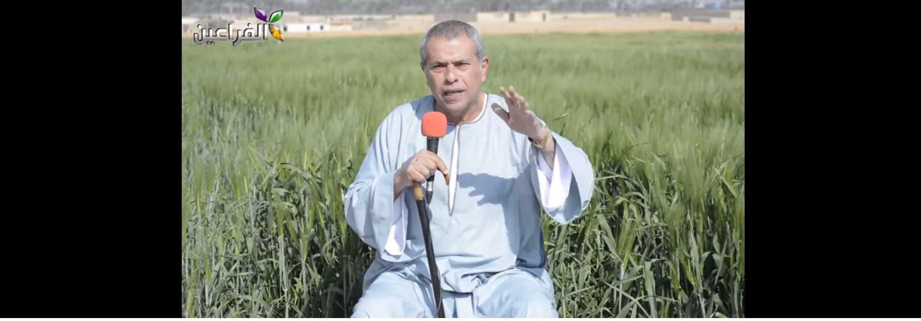 لماذا عاد توفيق عكاشة؟