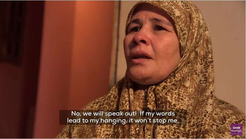 Who are ‘the forces of evil’ controlling Egypt’s media?
