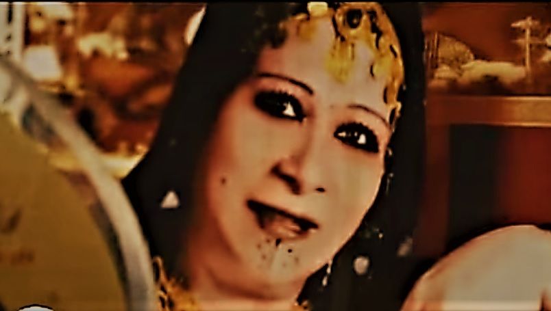 رحلة مع جمالات شيحة