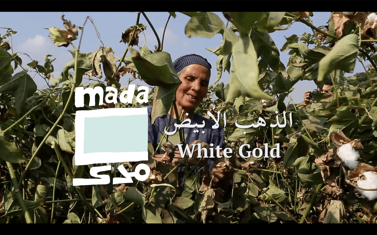 Video | White gold