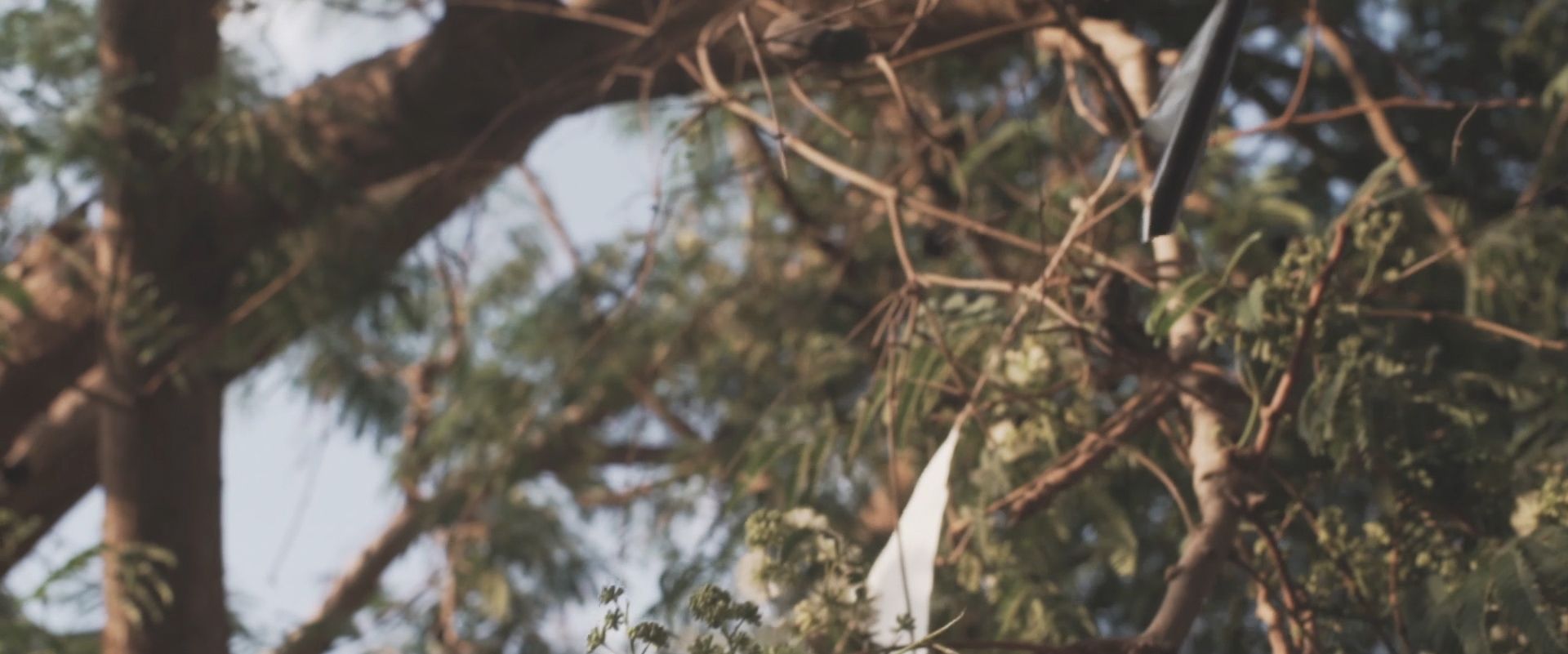 Video | Ramadan’s Here: Ain al-Hayat
