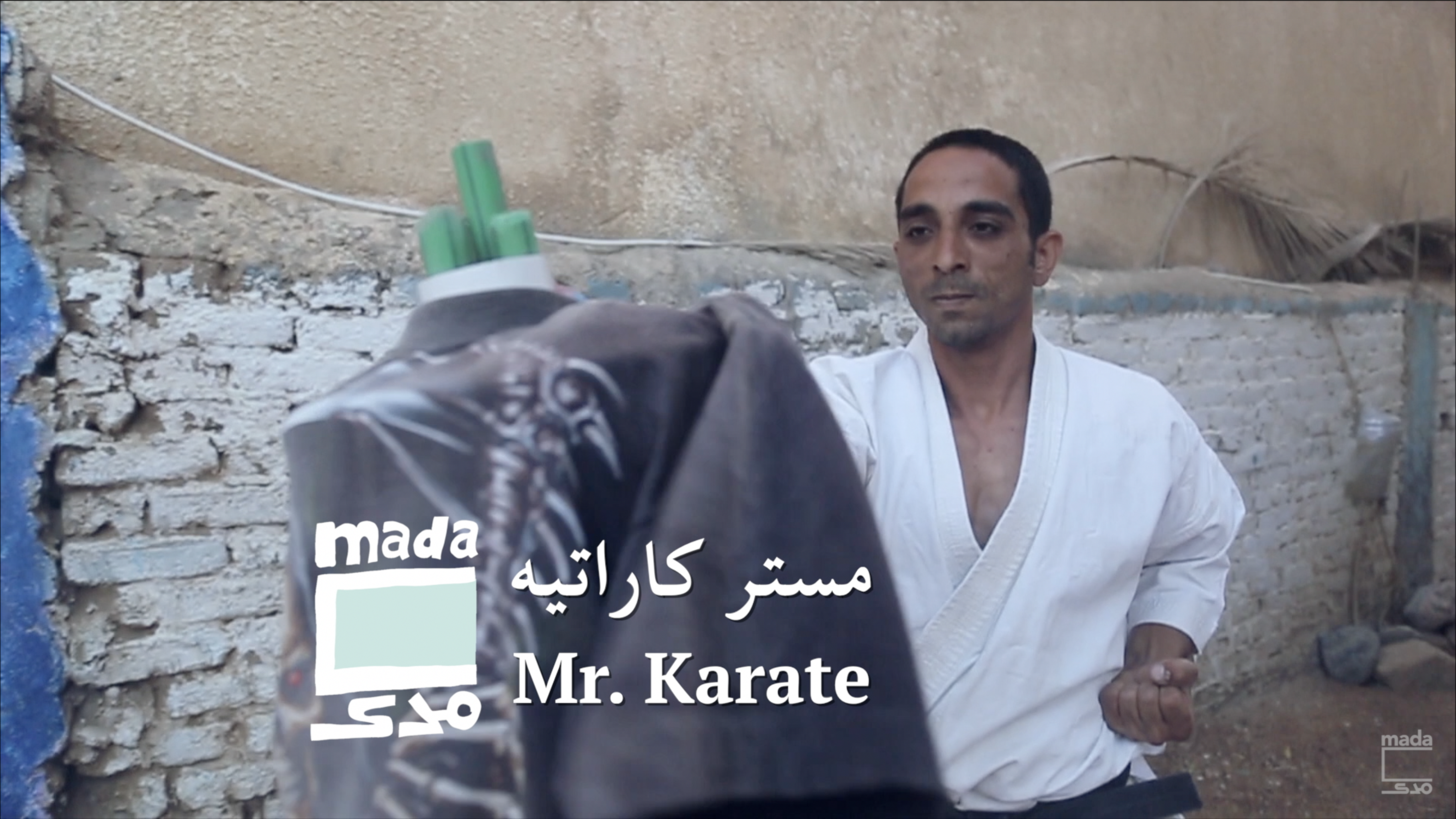 فيديو| مستر كاراتيه