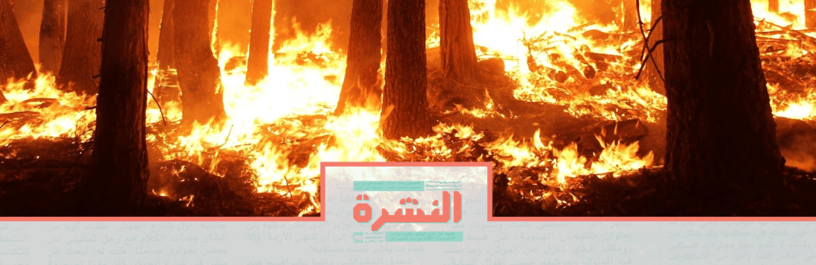 الخميس 22 أغسطس: «رئة الأرض» تحترق| بلاغ: اختفاء طالب بعد إخلاء سبيله