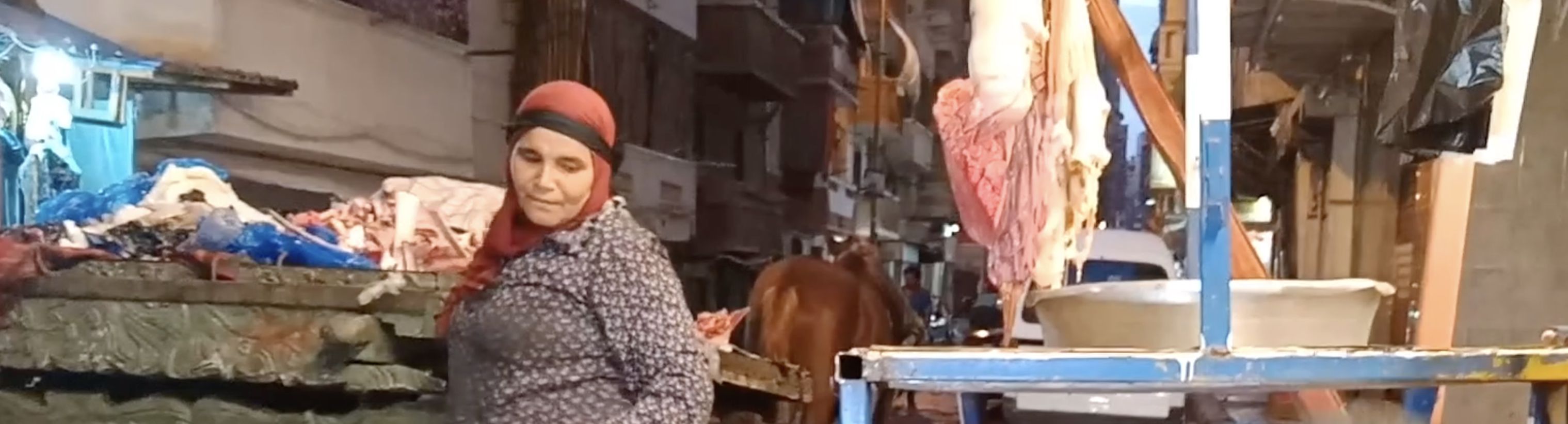فيديو| عضمة ناشفة
