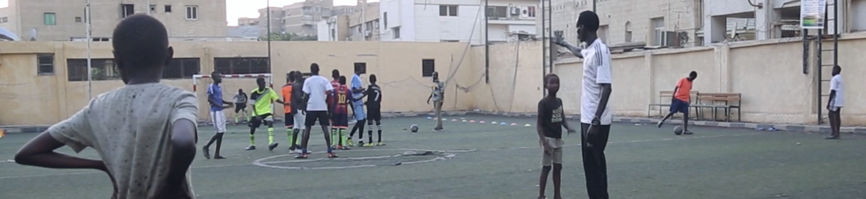 Video | Field of dreams