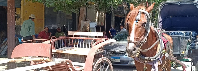 Video | Beyond the factory: the carriage maker
